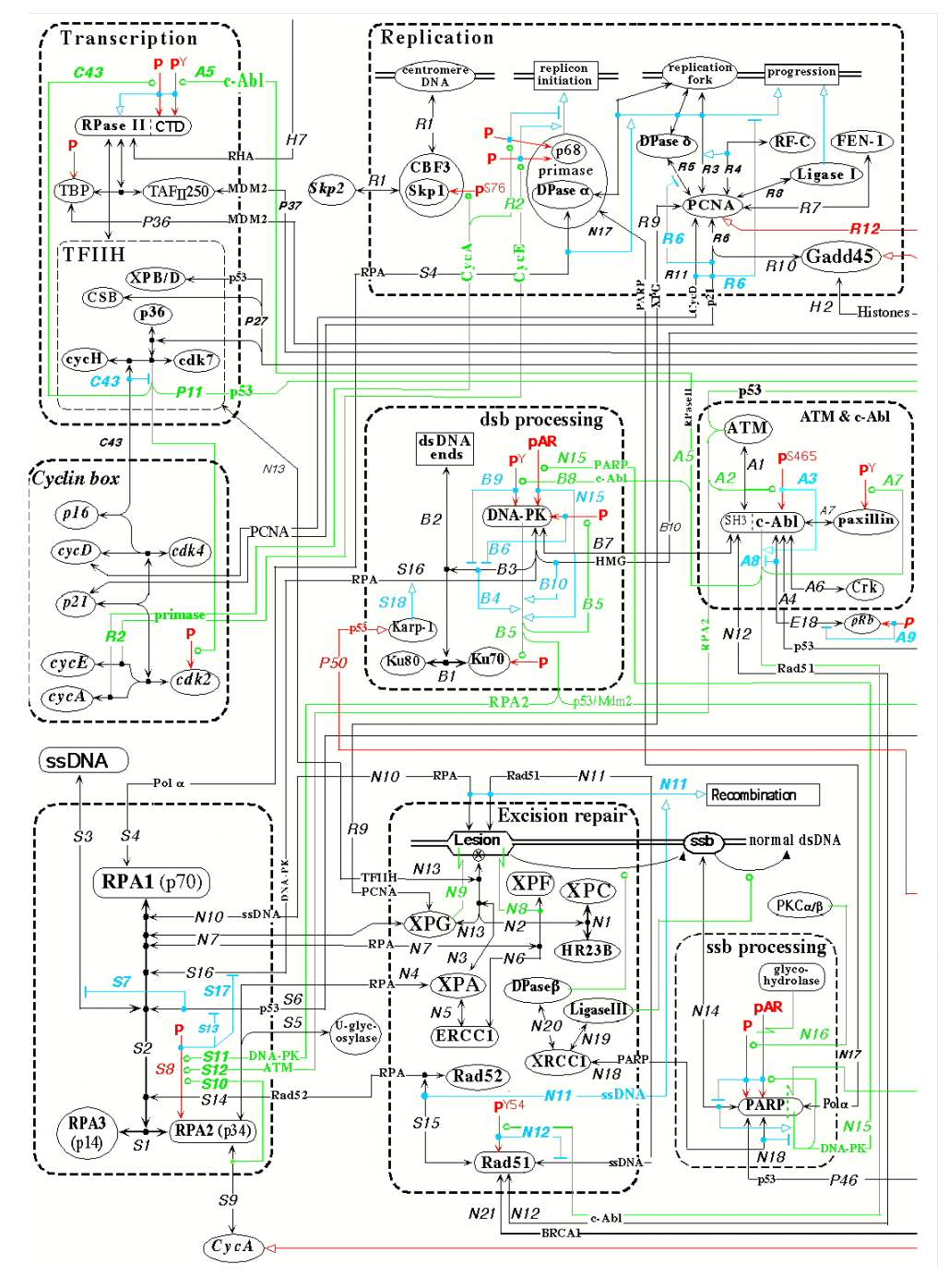 cell wiring